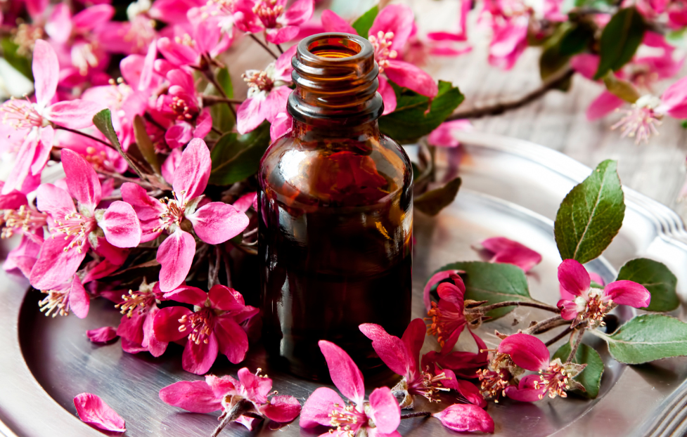What are Bach Flower Remedies? Sydney naturopath, online naturopath, Diana Robson, personalised flower remedy
