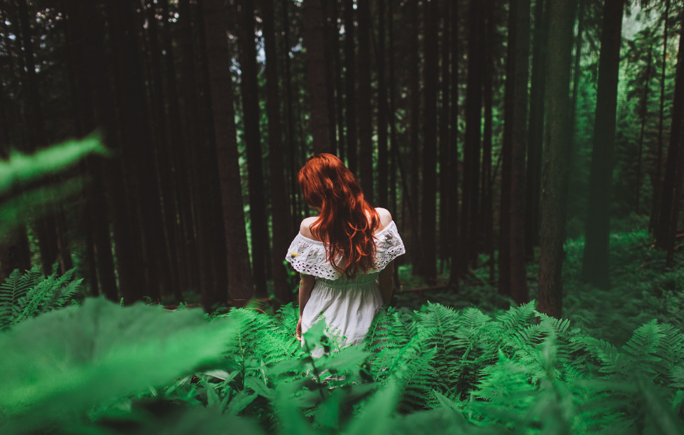 Why Forest Bathing Is Good For Your Health, Benefits of Forest Bathing, Naturopath, Shinrin Yoku, Nature