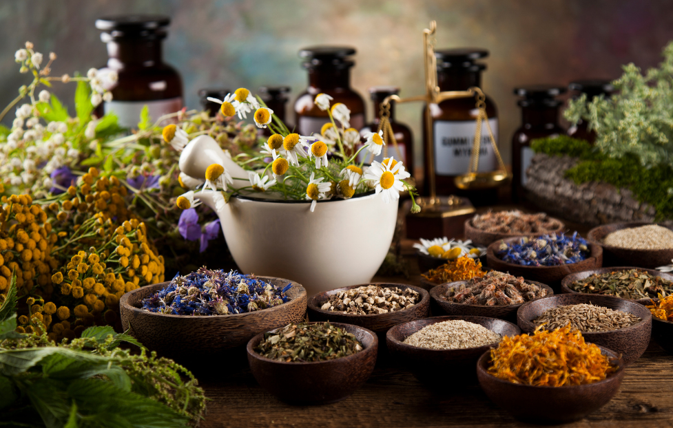 What are the benefits of herbal medicine? Naturopath Diana Robson